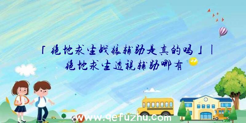 「绝地求生战狼辅助是真的吗」|绝地求生透视辅助哪有